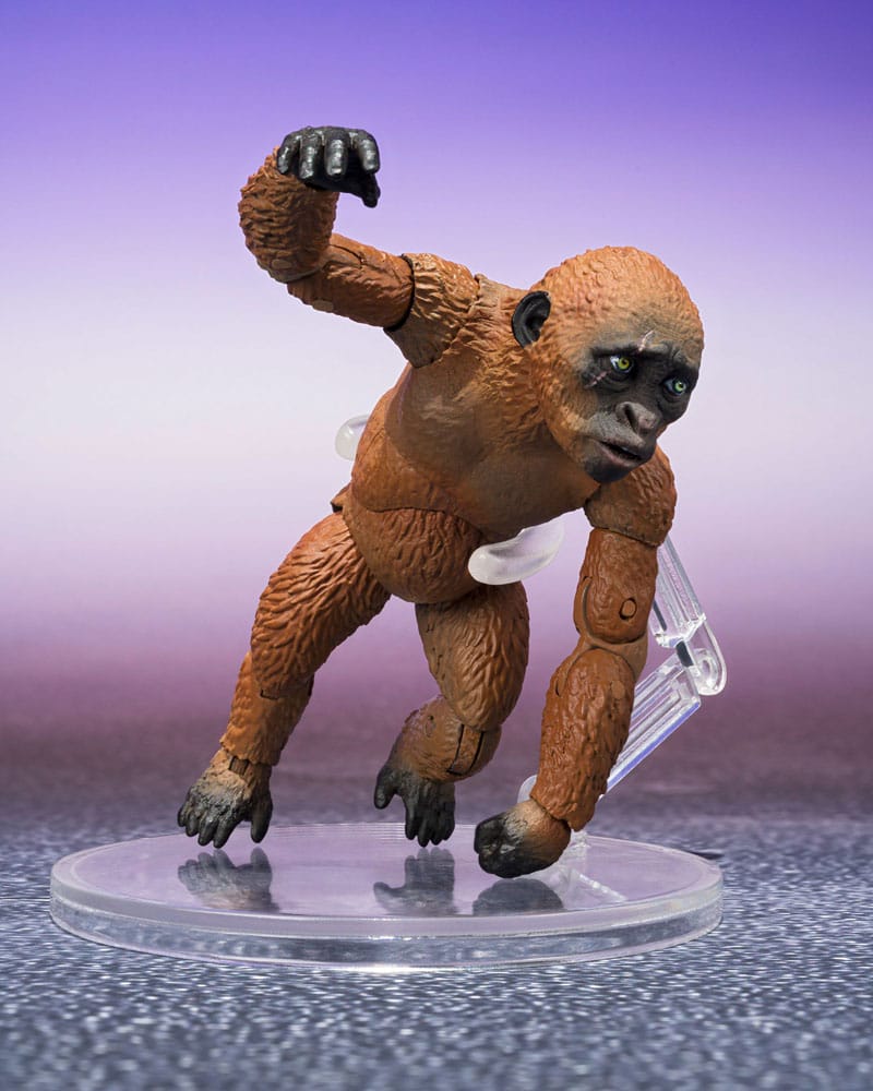 Godzilla x Kong: The New Empire S.H. Monster Arts Action Figures 2-Pack Suko & Mothra4