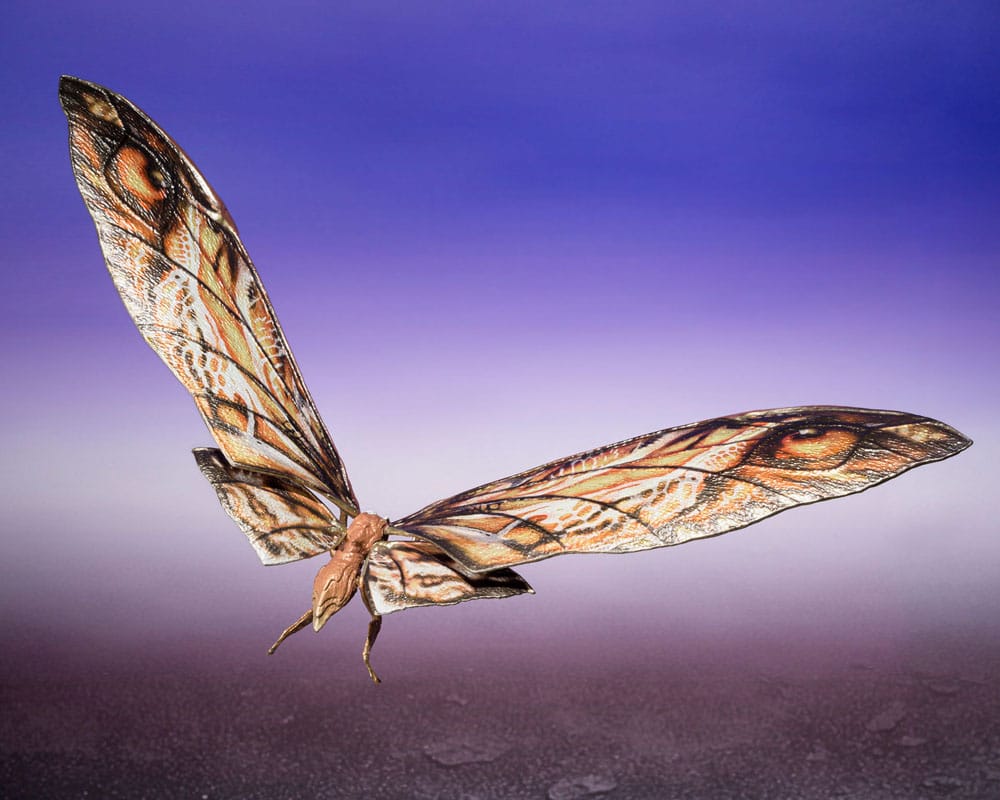 Godzilla x Kong: The New Empire S.H. Monster Arts Action Figures 2-Pack Suko & Mothra6