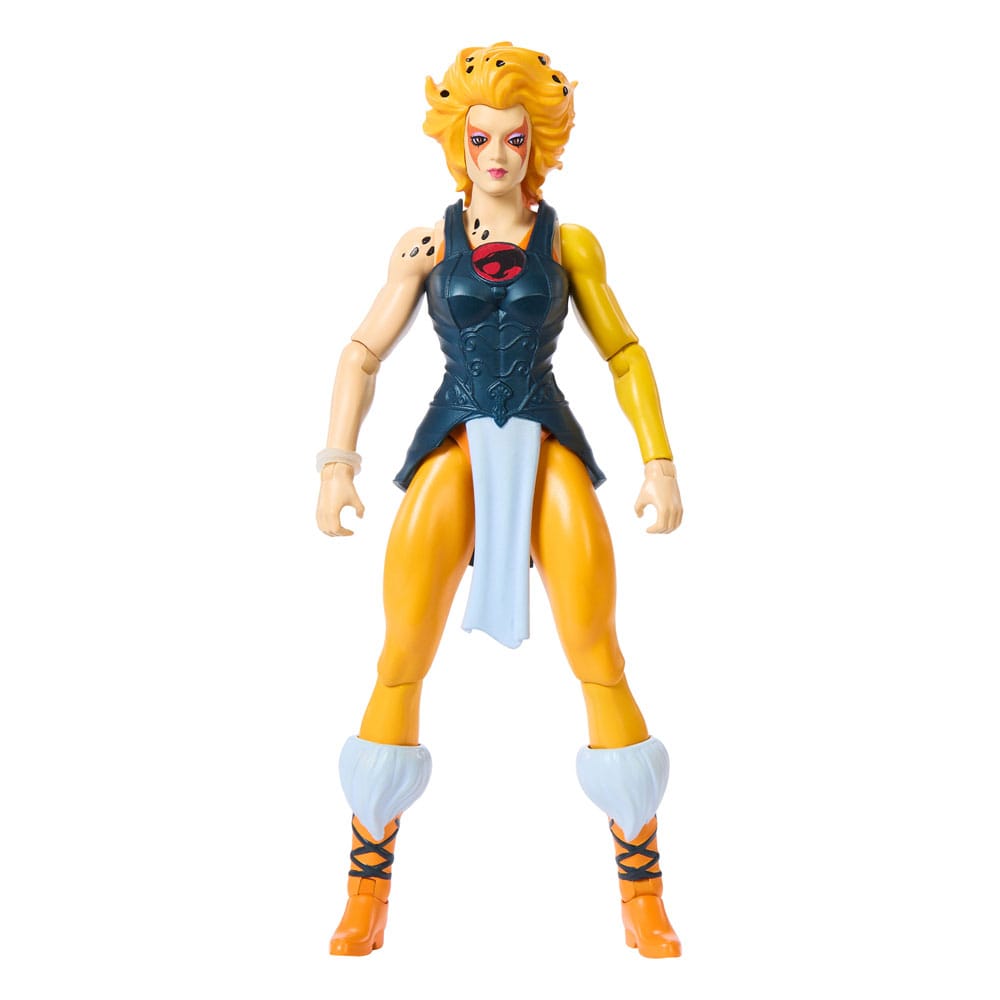 Masters of the Universe x ThunderCats Action Figure Cheetara 14cm1