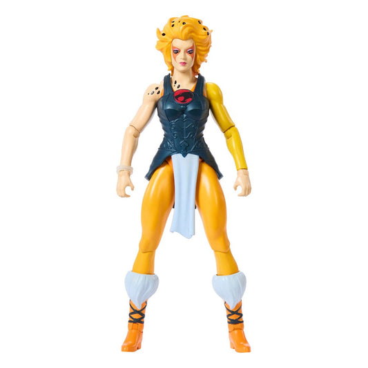 Masters of the Universe x ThunderCats Action Figure Cheetara 14cm1