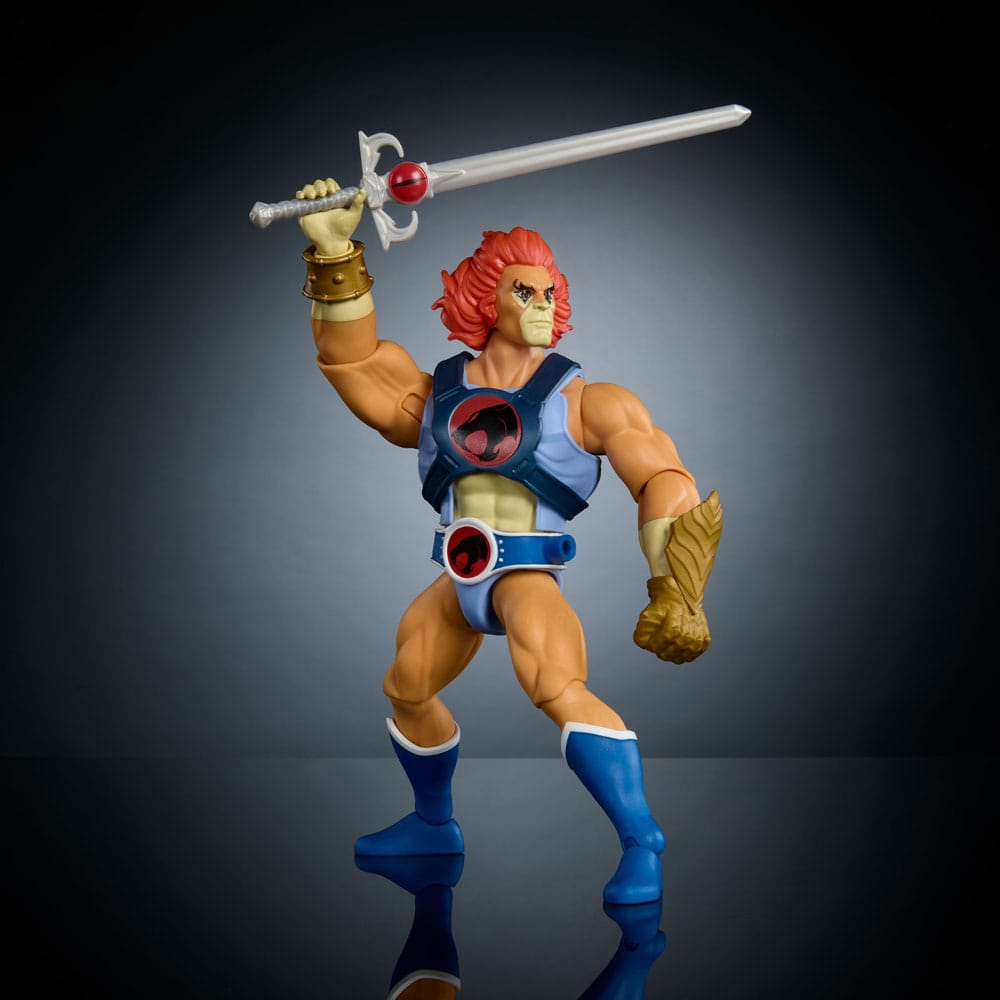 Masters of the Universe x ThunderCats Action Figure Lion-O 14cm7