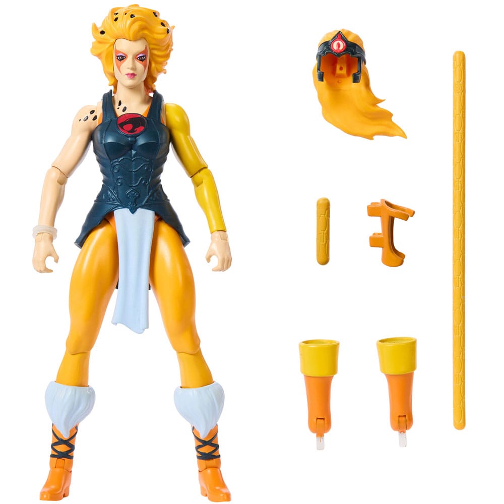 Masters of the Universe x ThunderCats Action Figure Cheetara 14cm2