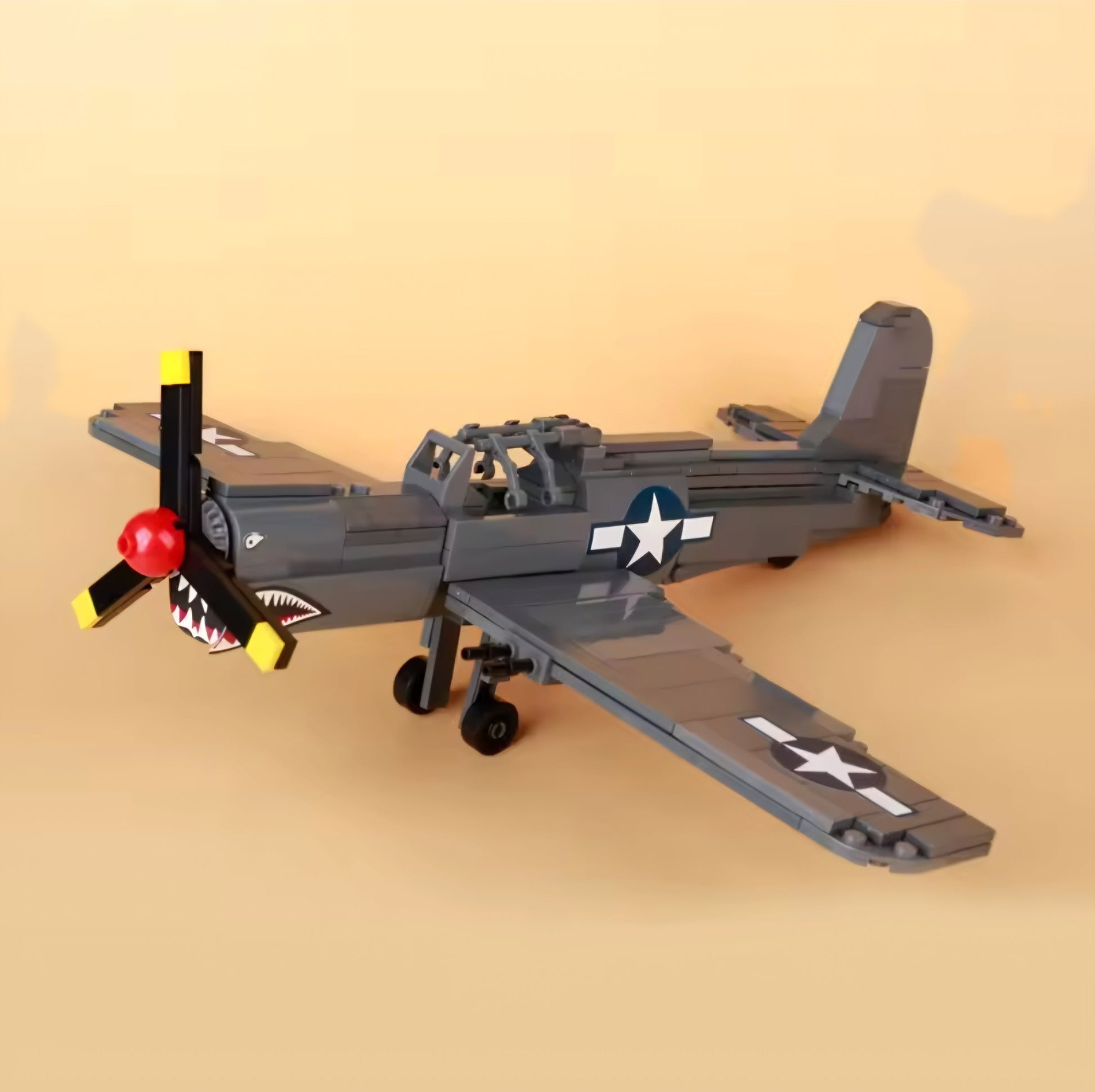 WW2 USAF P-40 Curtis Warhawk Fighter Plane1
