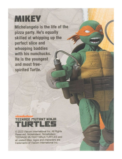 Teenage Mutant Ninja Turtles BST AXN Action Figure Michelangelo (IDW Comics) 13cm2