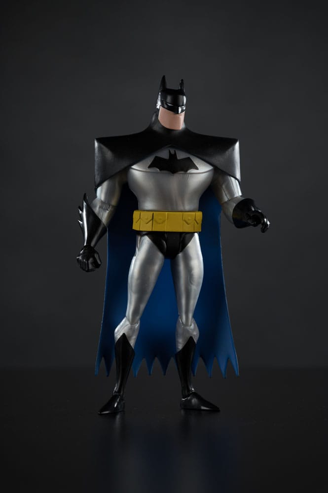 The New Batman Adventure DC Direct 1/6 Action Figure Batman (Silver) 15cm14
