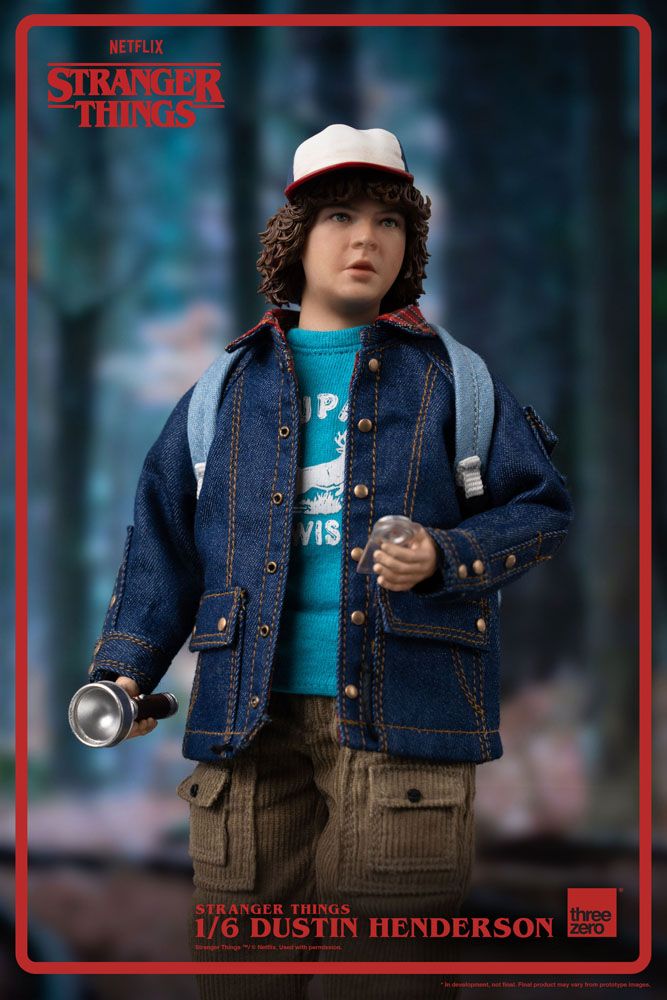 Stranger Things Action Figure 1/6 Dustin Henderson 23cm4